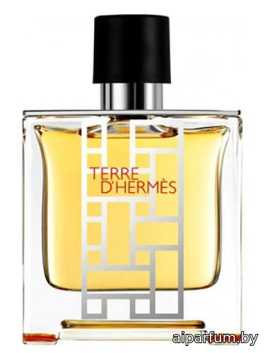 Terre d'Hermès flacon H 2013