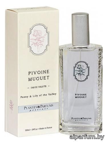 Pivoine Muguet