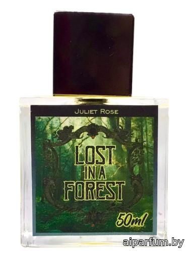 Lost in a Forest