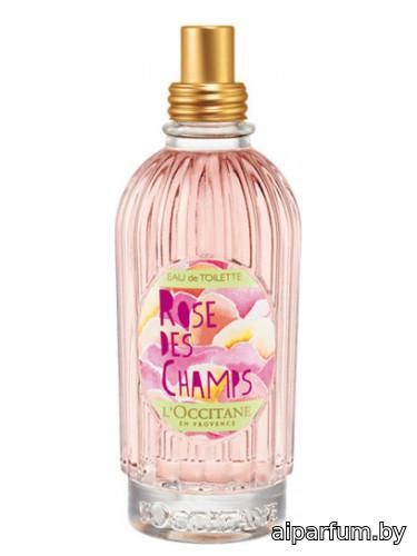 Rose des Champs
