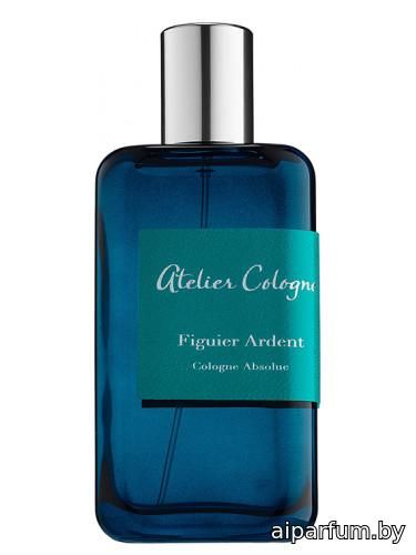 Figuier Ardent
