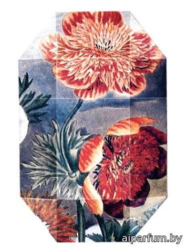 Print Collection Stella 03 (2011)