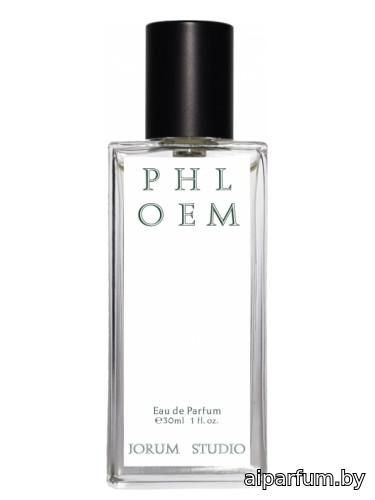 Phloem 