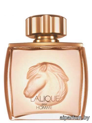 Lalique Pour Homme Equus