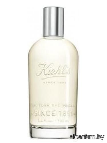 Aromatic Blends: Patchouli & Fresh Rose