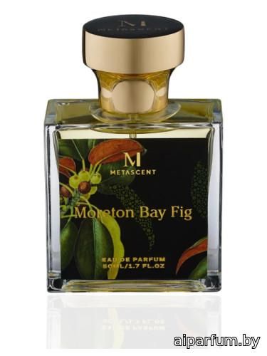 Moreton Bay Fig