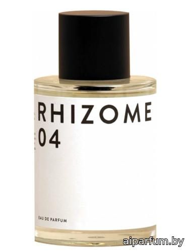 Rhizome 04