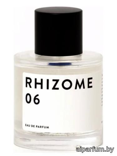 Rhizome 06
