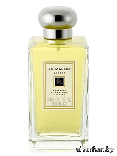 Verbenas of Provence