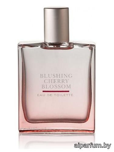 Blushing Cherry Blossom