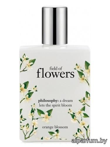 Field of Flowers Orange Blossom