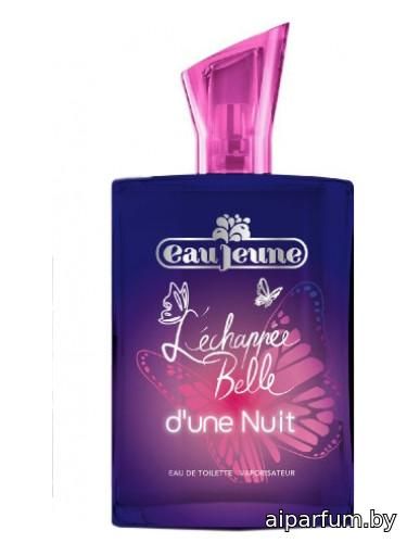 L'Échappée Belle d'une Nuit