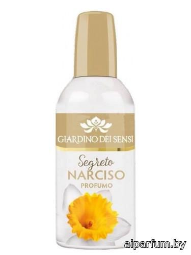 Segreto Narciso