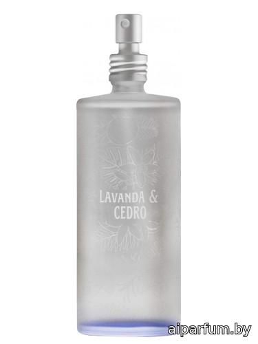 Lavanda & Cedro