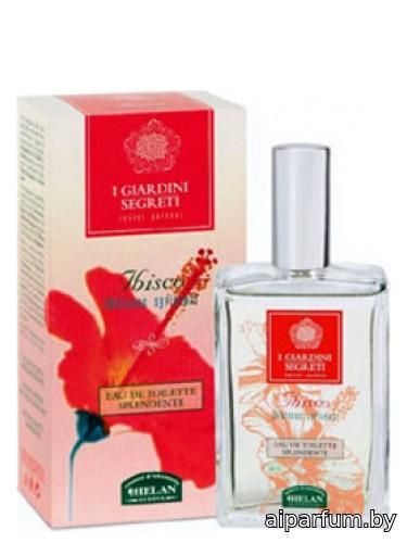 Ibisco