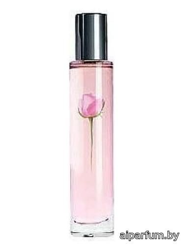 Sheer Rose
