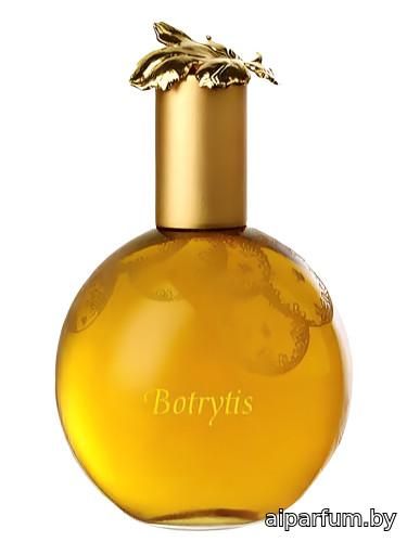 Botrytis