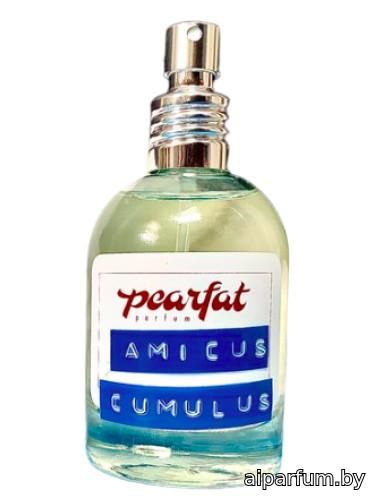 Amicus Cumulus