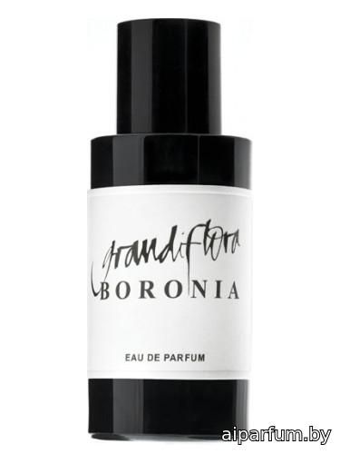 Boronia