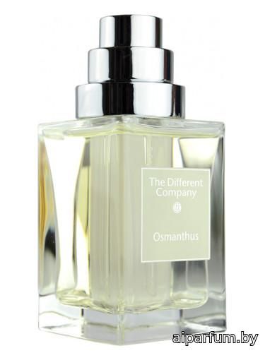 Osmanthus
