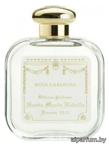 Rosa Gardenia