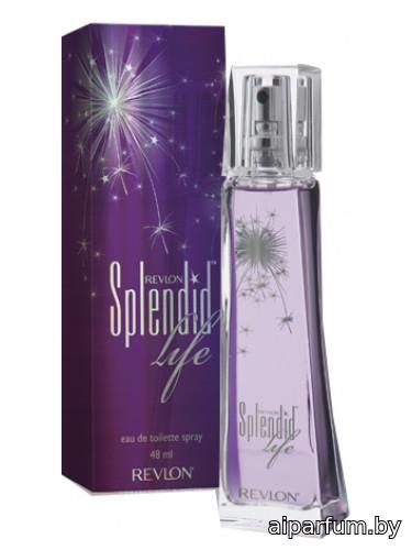 Splendid Life