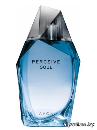 Perceive Soul