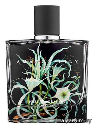 Amazon Lily