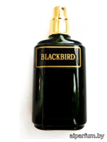 Blackbird
