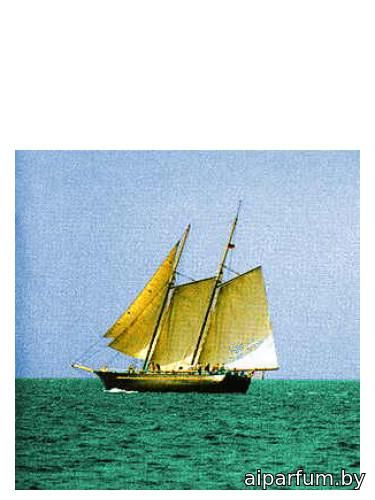 Sea Wood