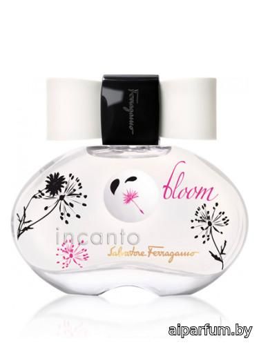 Incanto Bloom
