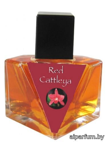 Red Cattleya