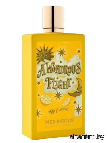 A Wondrous Flight