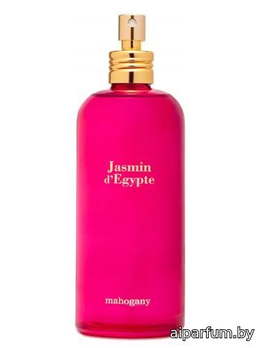 Jasmin D'Egypte