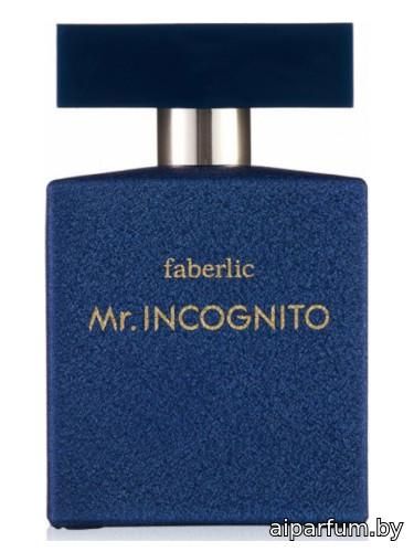 Mr. Incognito