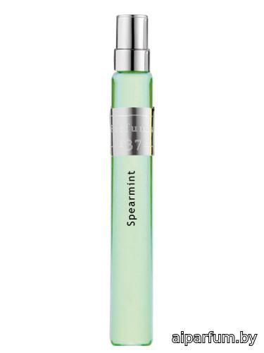 Spearmint