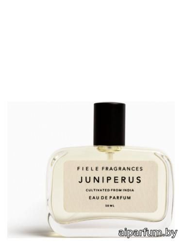 Juniperus