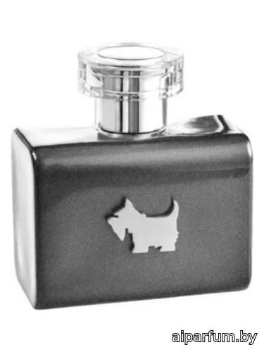 Terrier Grey