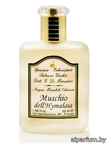 Muschio del Hymalaia