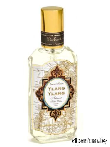 Ylang Ylang