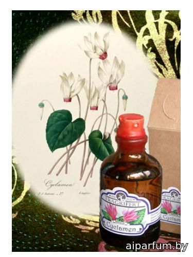 Cyclamen