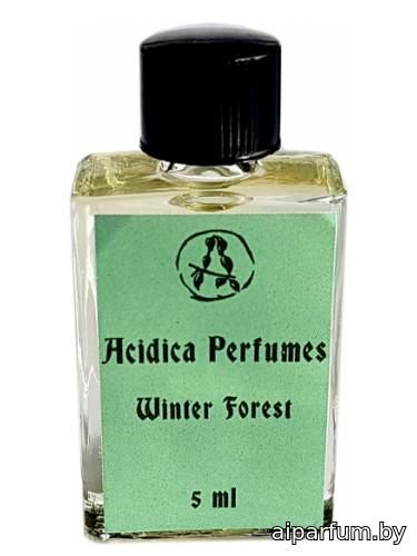 Winter Forest (Зимний лес)