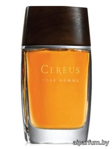 Cereus No. 14