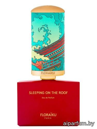 Sleeping on the Roof