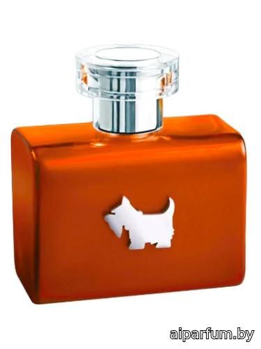 Terrier Orange