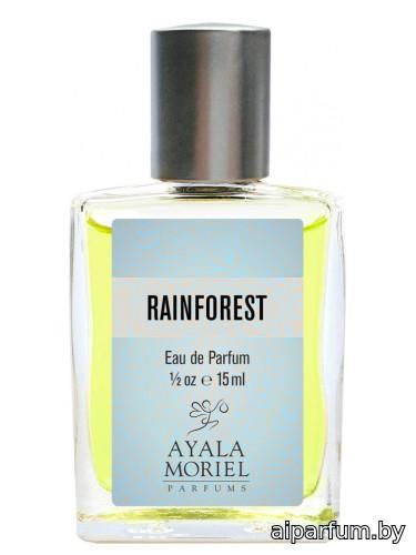 Rainforest