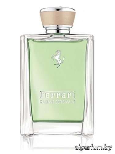 Radiant Bergamot