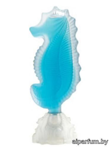 Seahorse