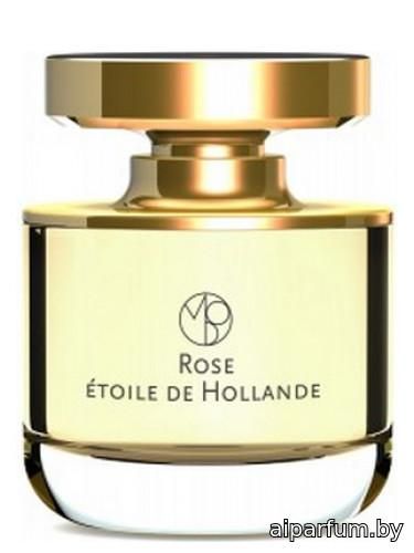Rose Etoile de Hollande