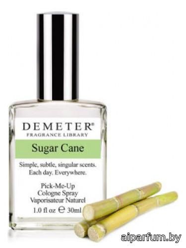 Sugar Cane